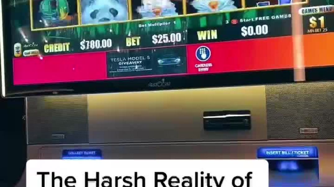 ⁣Harsh reality of gambling