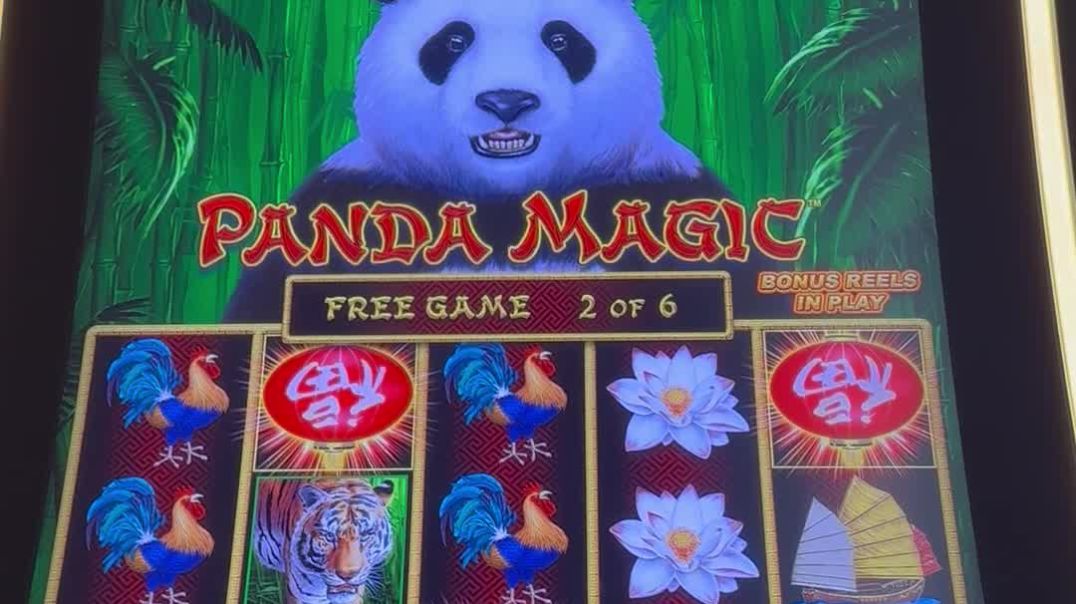 ⁣Panda Magic